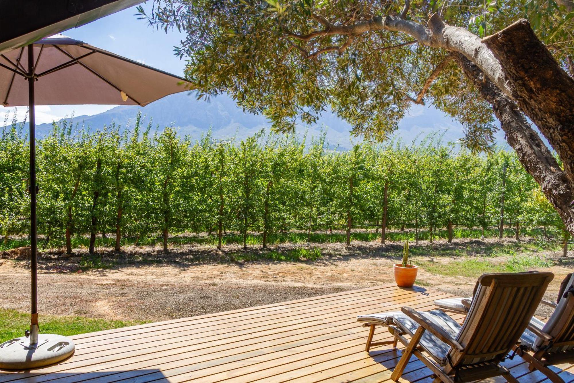 Bergsicht Country Farm Cottages 툴바흐 외부 사진